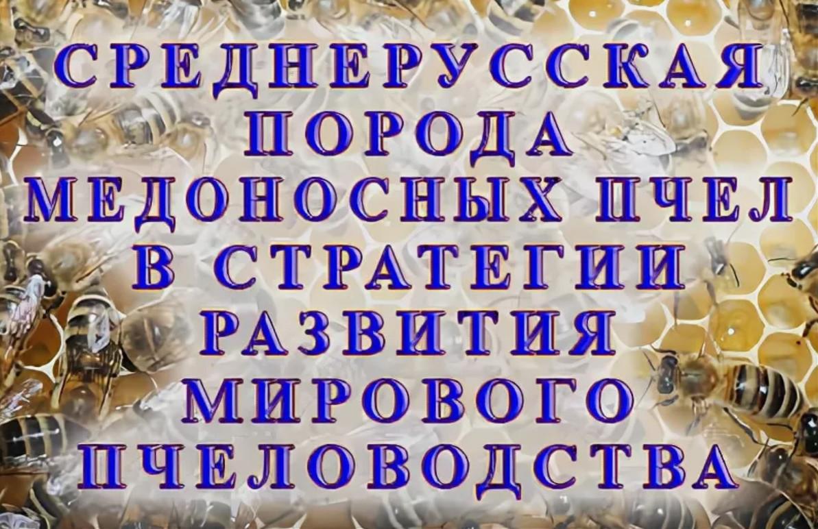 Конференция «Пчеловодство холодного и умеренного климата»